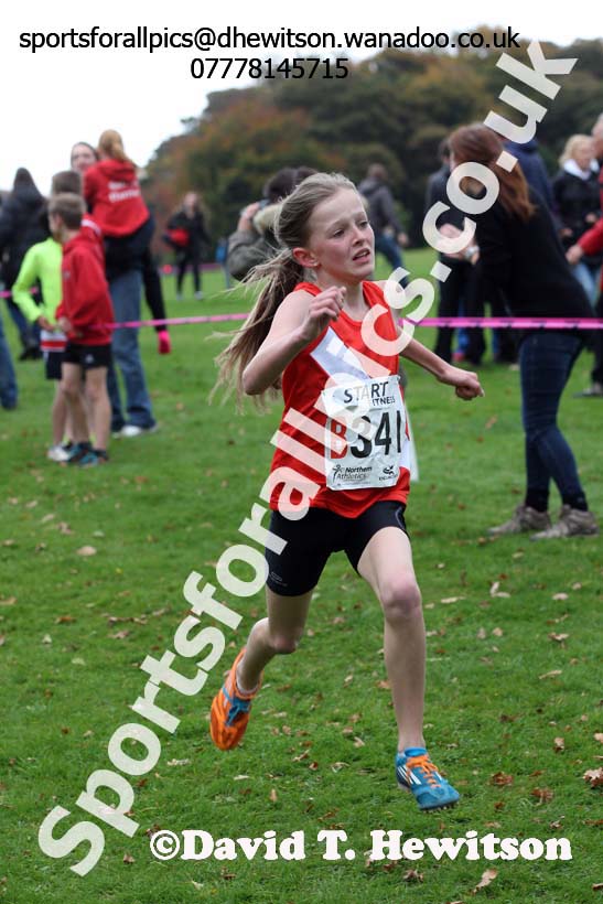 Girls under-13s Northern Cross Country Relays, Graves Park, Sheffield. Photo: David T. Hewitson/Sports for All Pics